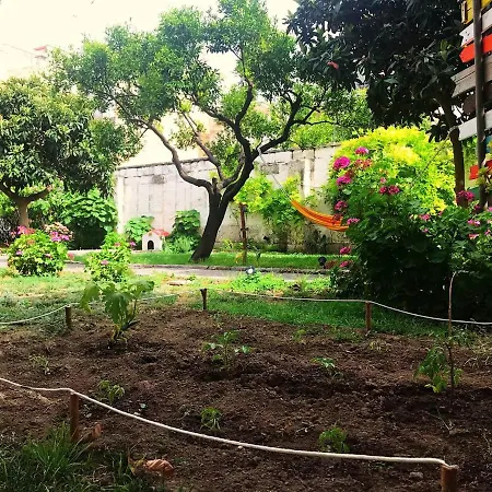 Urban Oasis Hostel-2