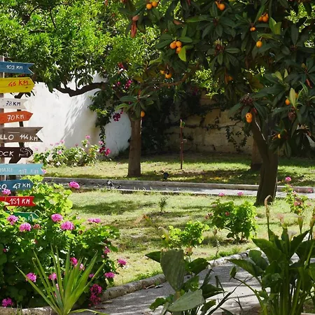Urban Oasis Hostel-2